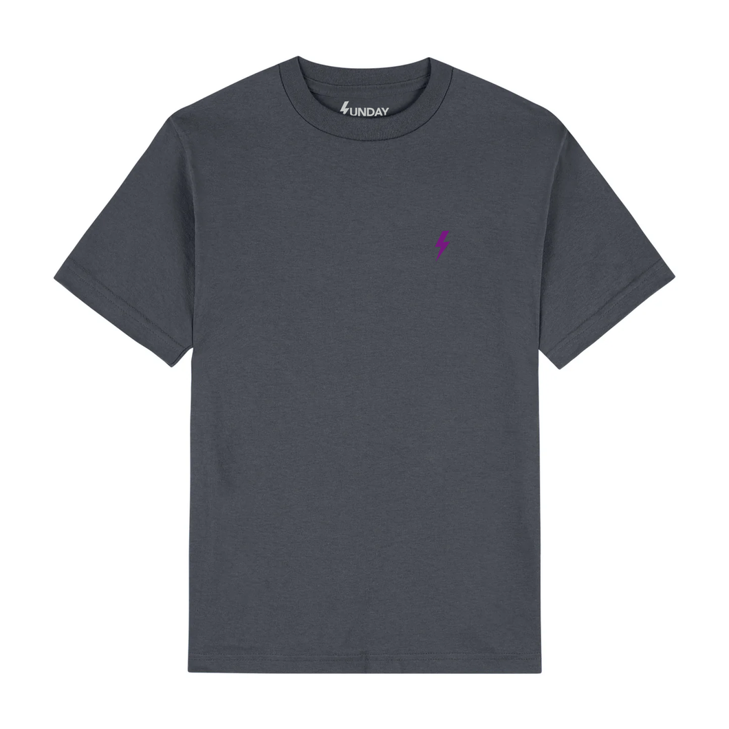 Embroidered Logo T-Shirt Charcoal/Purple